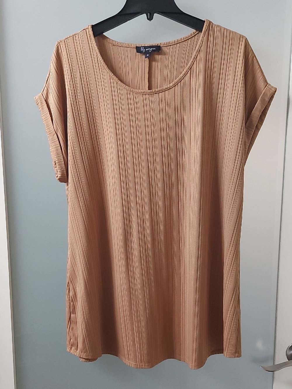 LIKE NEW! 1X Light Brown Short-Sleeve Women's Top/Blouse
